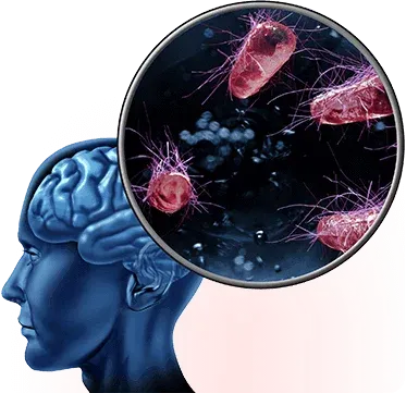 what-is-thememorywave